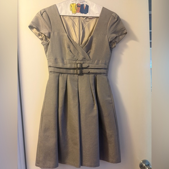 Nanette Lepore Dresses & Skirts - Nanette Lepore sparkly Gray Striped Fit-and-Flare Aline Dress-Women’s Size 2